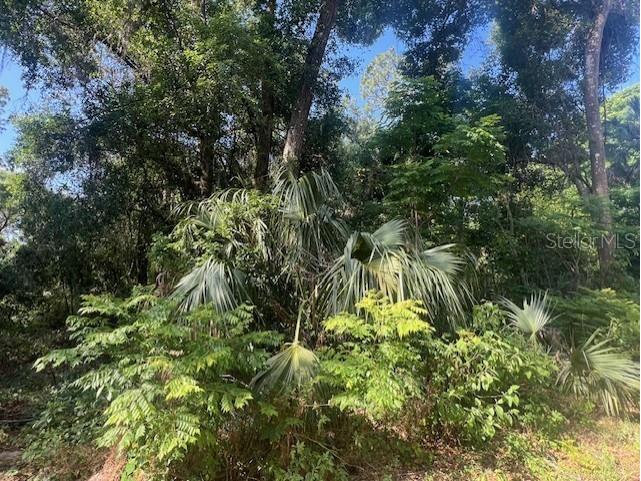 W Taylor Road Deland FL 32720 V4942432 image8