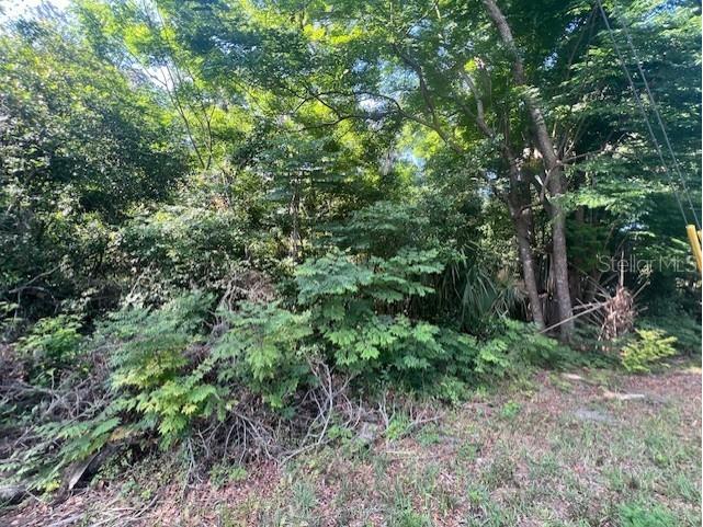 W Taylor Road Deland FL 32720 V4942432 image9