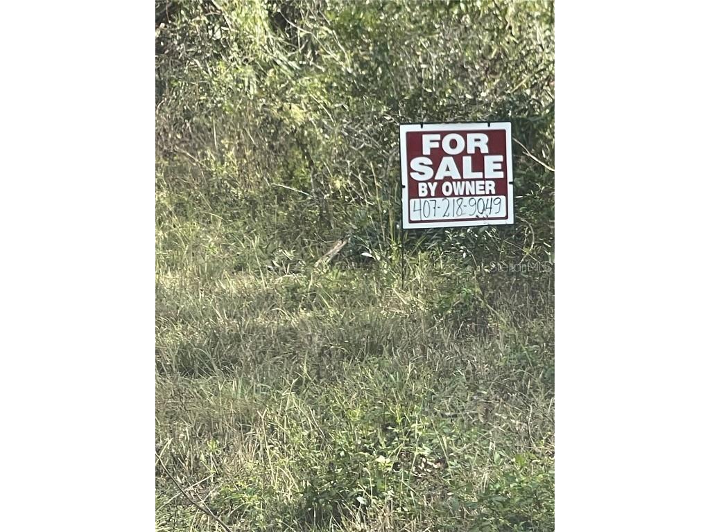 000 W Us 27 #LOT 5 Mayo FL 32066 S5135524 image2