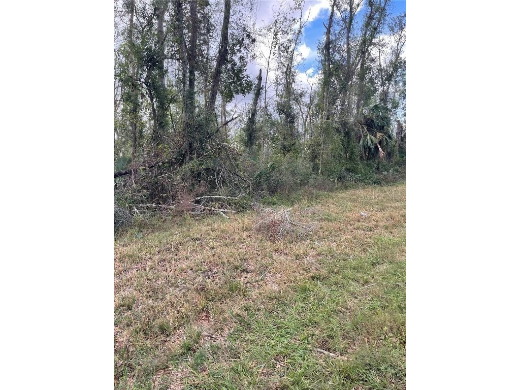 000 W Us 27 #LOT 5 Mayo FL 32066 S5135524 image3