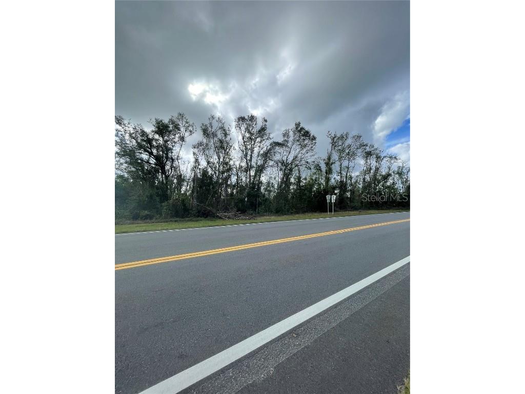 000 W Us 27 #LOT 5 Mayo FL 32066 S5135524 image5