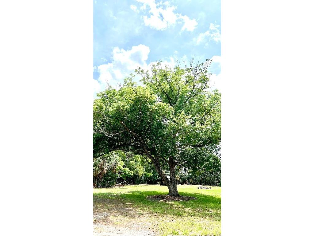 W Vining Street Winter Garden FL 34787 O6307465 image1