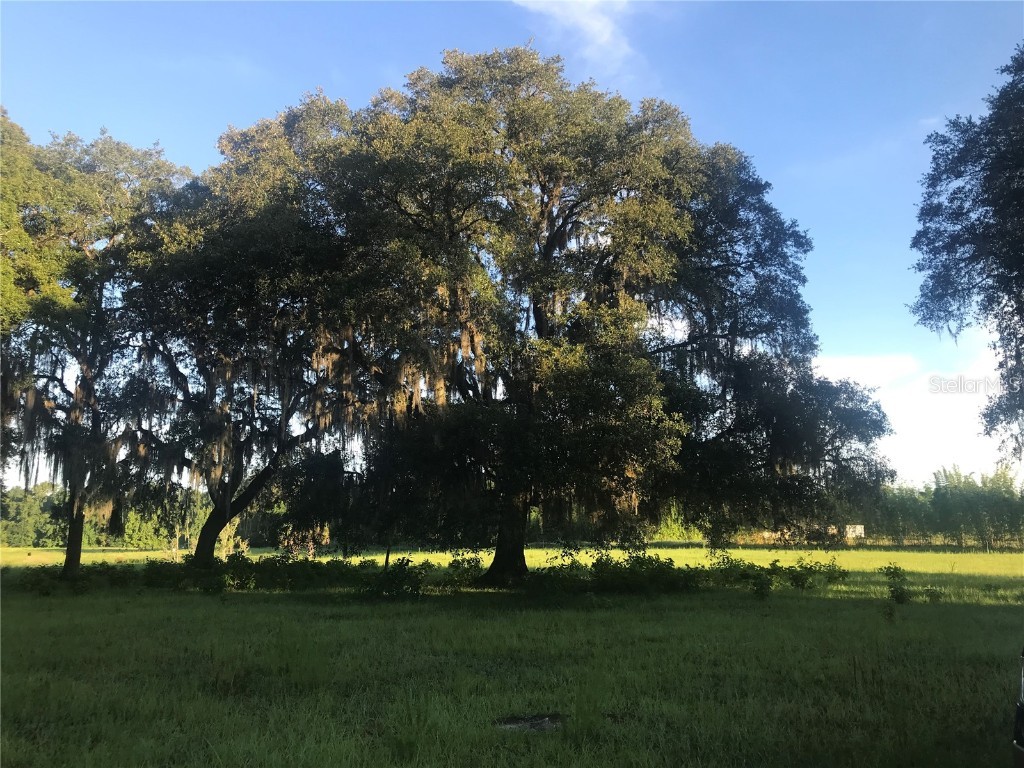 W Vista Cove Chuluota FL 32766 O6337617 image1