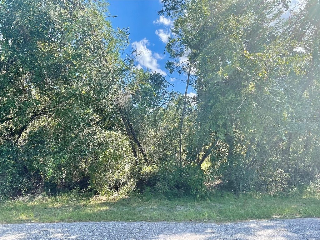 Wacassa Trail Sorrento FL 32776 - WEKIVA RIVER O6145935 image1