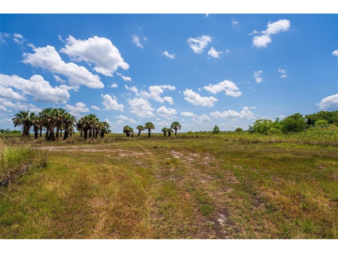 Waccassa Street Geneva FL 32732 O6224224 image10