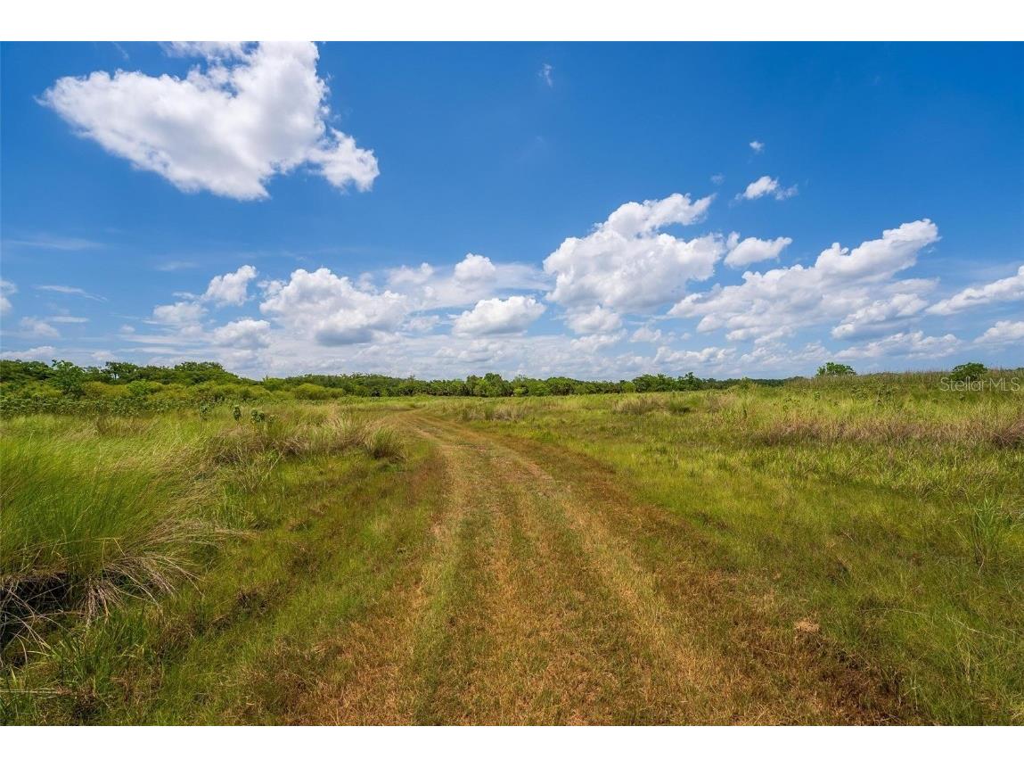 Waccassa Street Geneva FL 32732 O6224224 image11