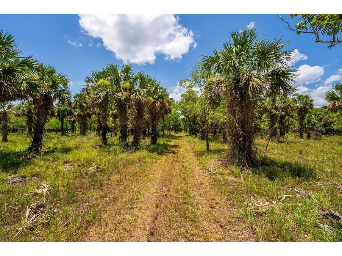 Waccassa Street Geneva FL 32732 O6224224 image12