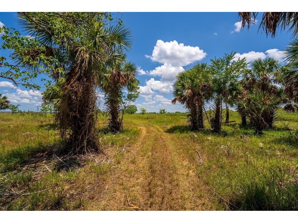 Waccassa Street Geneva FL 32732 O6224224 image13