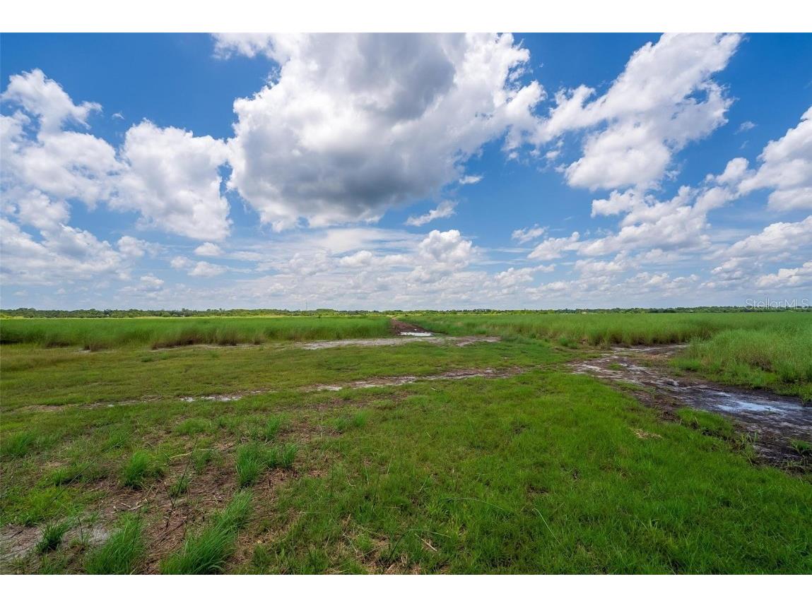 Waccassa Street Geneva FL 32732 O6224224 image4