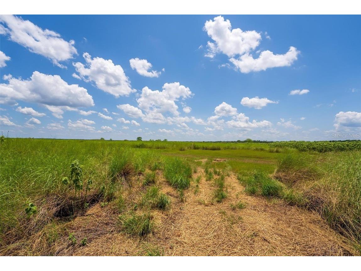 Waccassa Street Geneva FL 32732 O6224224 image6