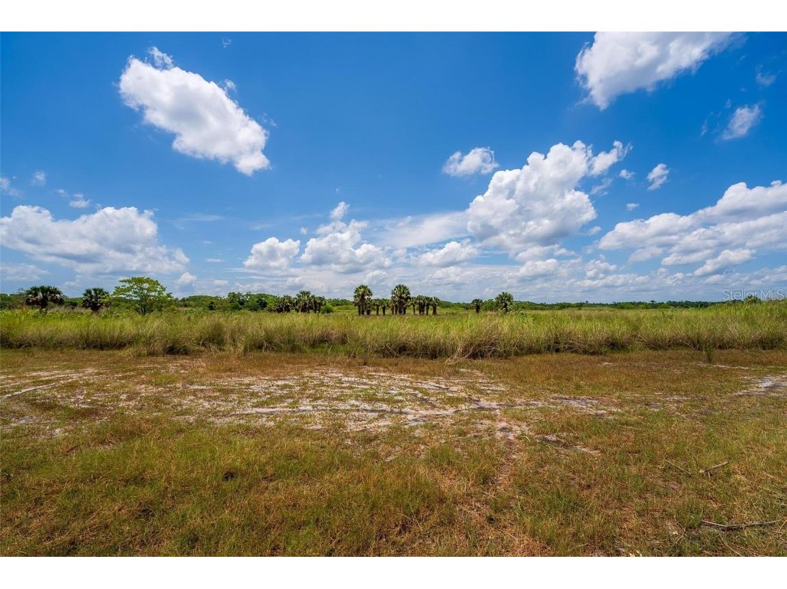 Waccassa Street Geneva FL 32732 O6224224 image7