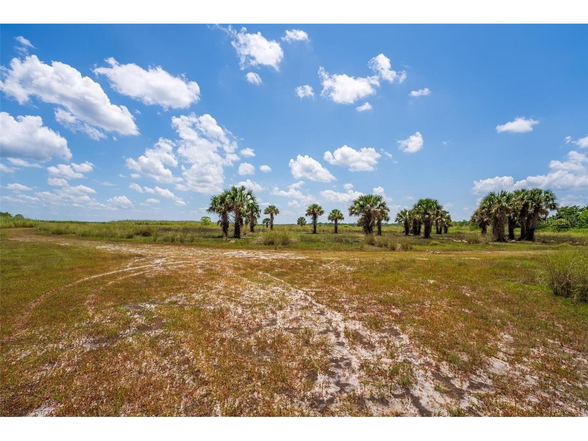 Waccassa Street Geneva FL 32732 O6224224 image8