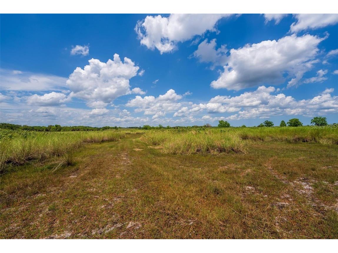 Waccassa Street Geneva FL 32732 O6224224 image9