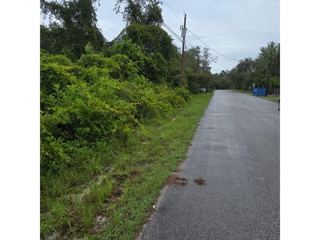 Waddell New Port Richey FL 34654 TB8419511 image1