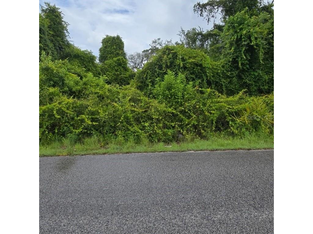 Waddell New Port Richey FL 34654 TB8419511 image2