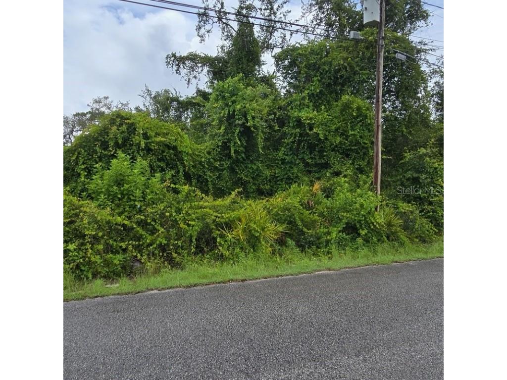 Waddell New Port Richey FL 34654 TB8419511 image3