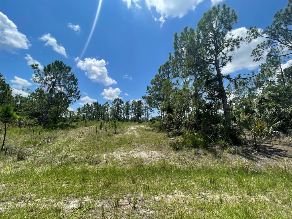 Wagon Wheel Drive North Port FL 34291 C7488302 image1