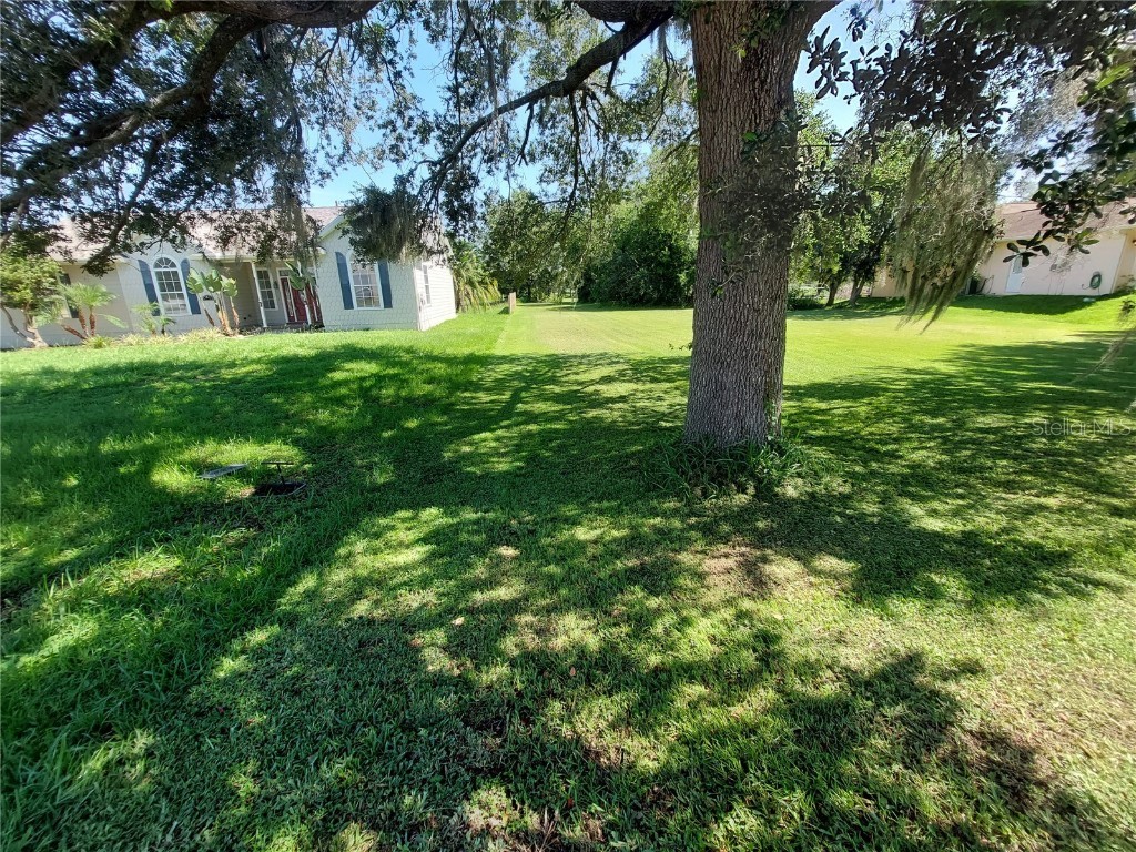 Waldo Dade City FL 33525 TB8399092 image2