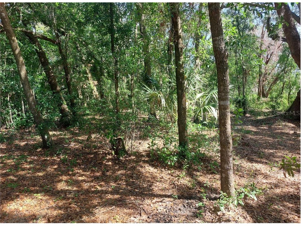 Waldo Dade City FL 33525 TB8399092 image9