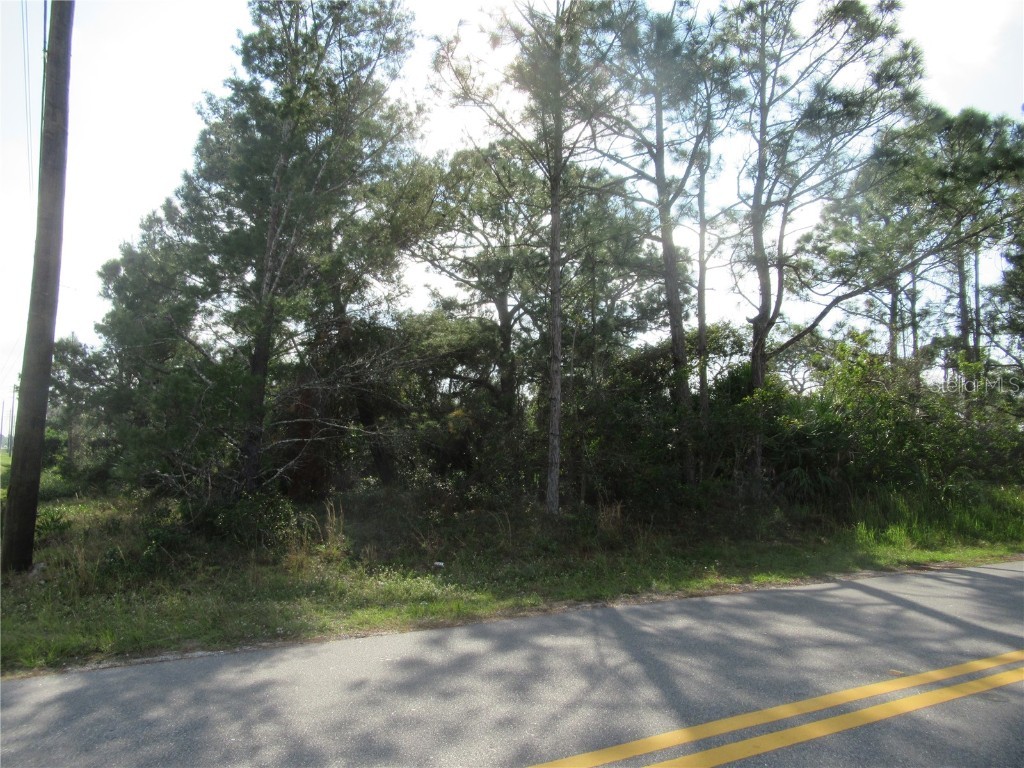 Waldo Street SE Palm Bay FL 32909 S5078244 image1