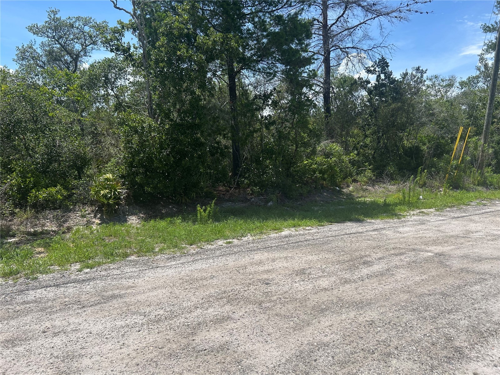 Waldor Avenue Orange City FL 32763 V4949315 image1