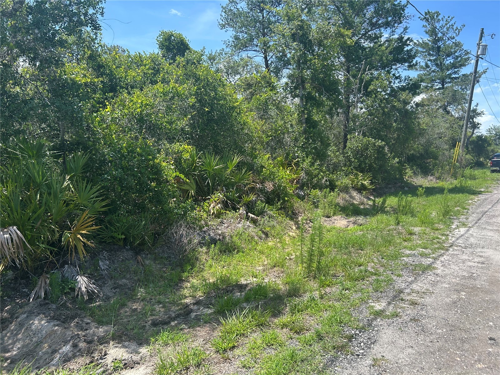 Waldor Avenue Orange City FL 32763 V4949315 image2
