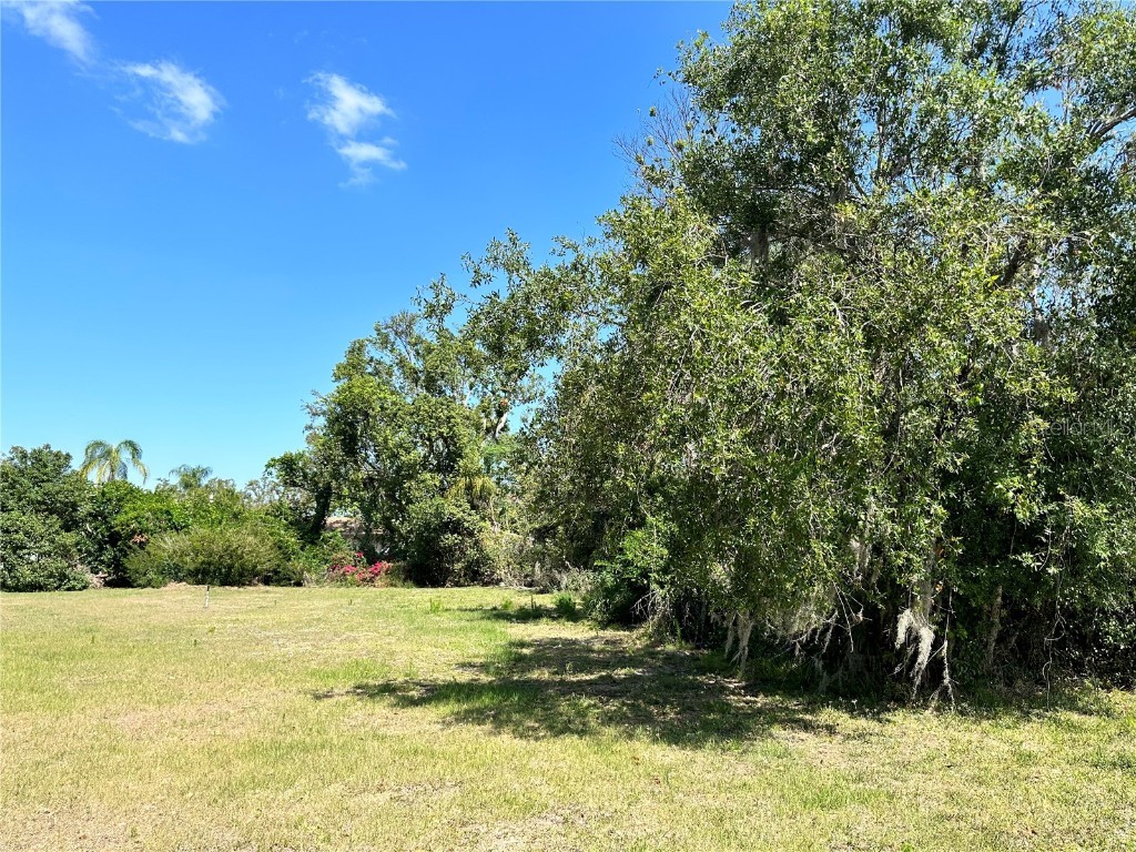 Waldron Street Arcadia FL 34266 C7475434 image1