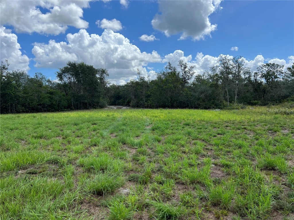 Walk In Water Road Lake Wales FL 33898 J964855 image1