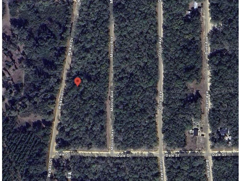 Walker Interlachen FL 32148 OK225020 image10