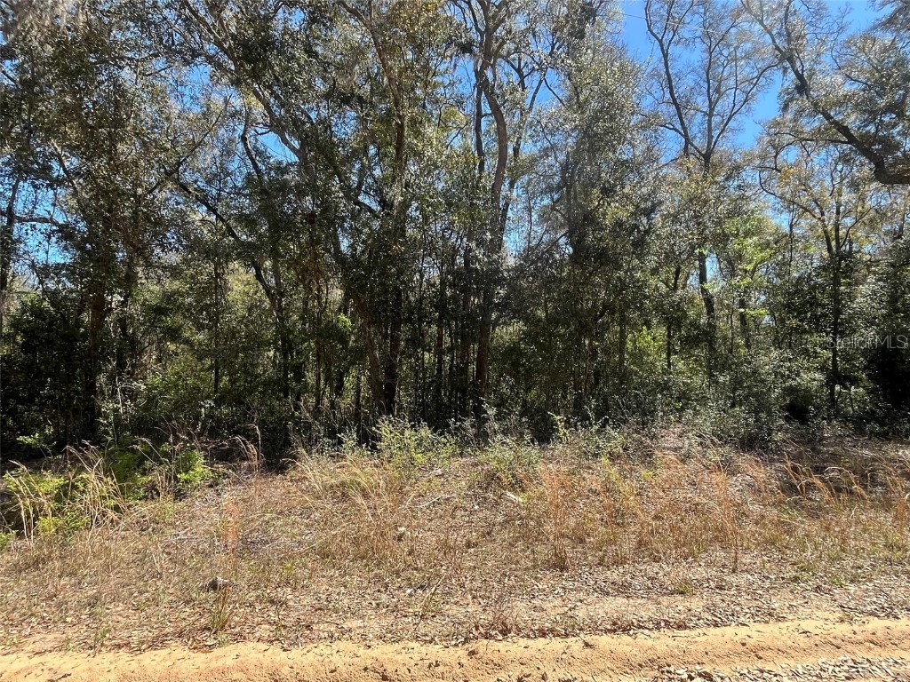 Walker Interlachen FL 32148 OK225020 image3