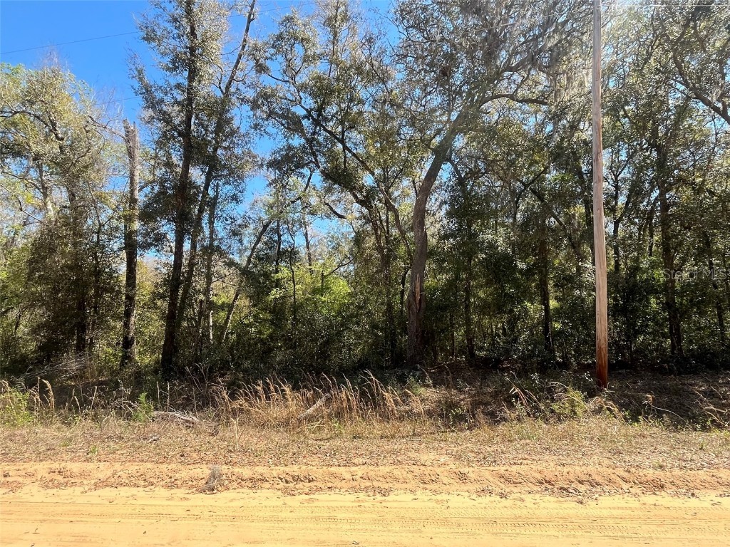 Walker Interlachen FL 32148 OK225020 image4