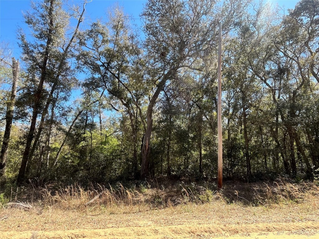 Walker Interlachen FL 32148 OK225020 image5