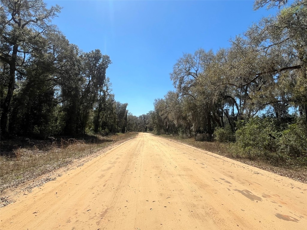 Walker Interlachen FL 32148 OK225020 image7