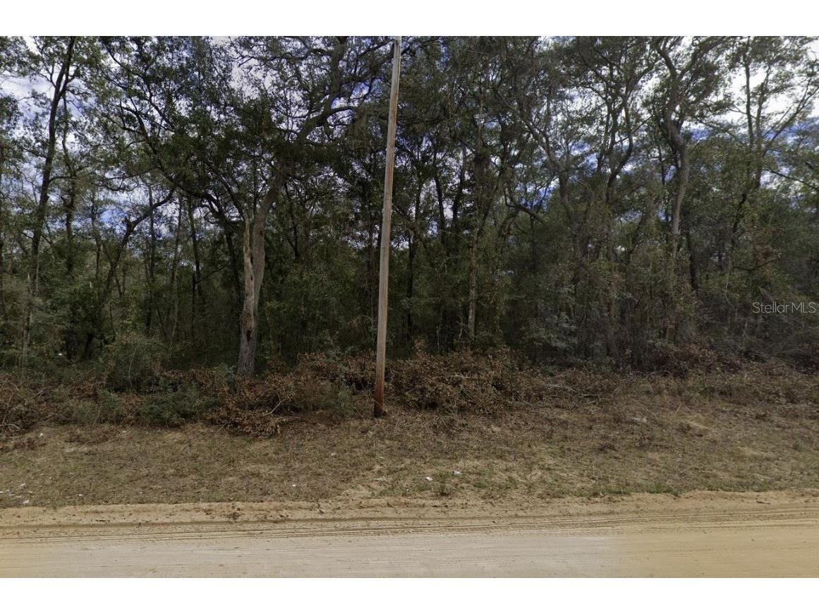 Walker Interlachen FL 32148 OK225020 image8