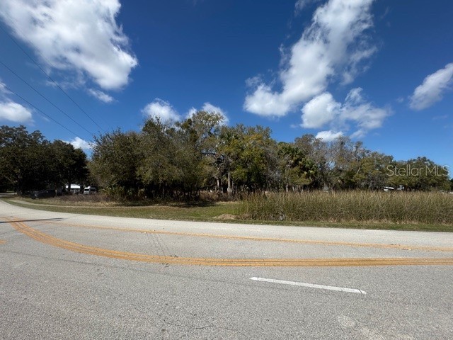 Wallace Road New Smyrna Beach FL 32168 NS1087589 image1