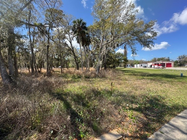 Wallace Road New Smyrna Beach FL 32168 NS1087589 image3