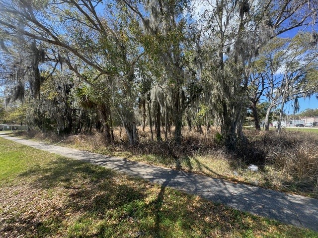 Wallace Road New Smyrna Beach FL 32168 NS1087589 image5