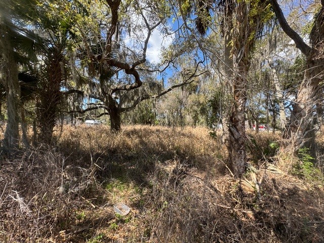 Wallace Road New Smyrna Beach FL 32168 NS1087589 image6
