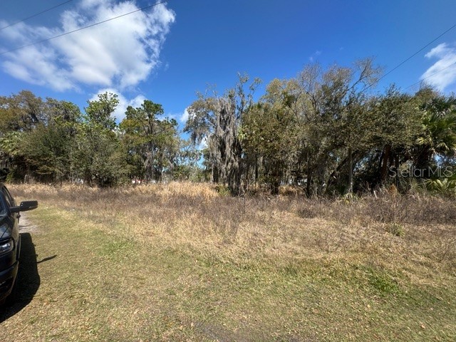 Wallace Road New Smyrna Beach FL 32168 NS1087589 image7