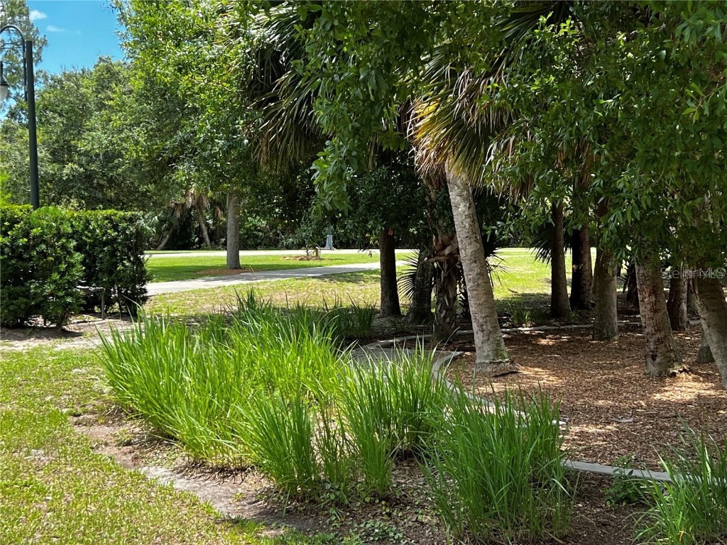 Waller Road North Port FL 34288 C7498272 image5