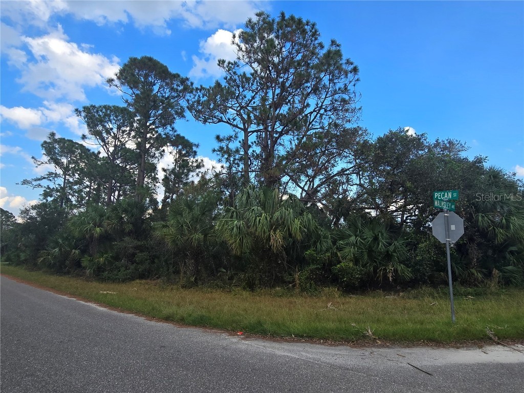 Walmsley Avenue North Port FL 34287 A4629289 image3
