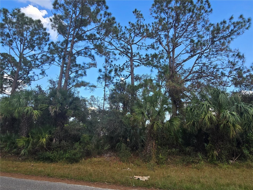 Walmsley Avenue North Port FL 34287 A4629289 image4