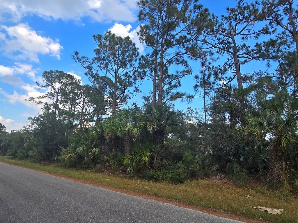 Walmsley Avenue North Port FL 34287 A4629289 image5