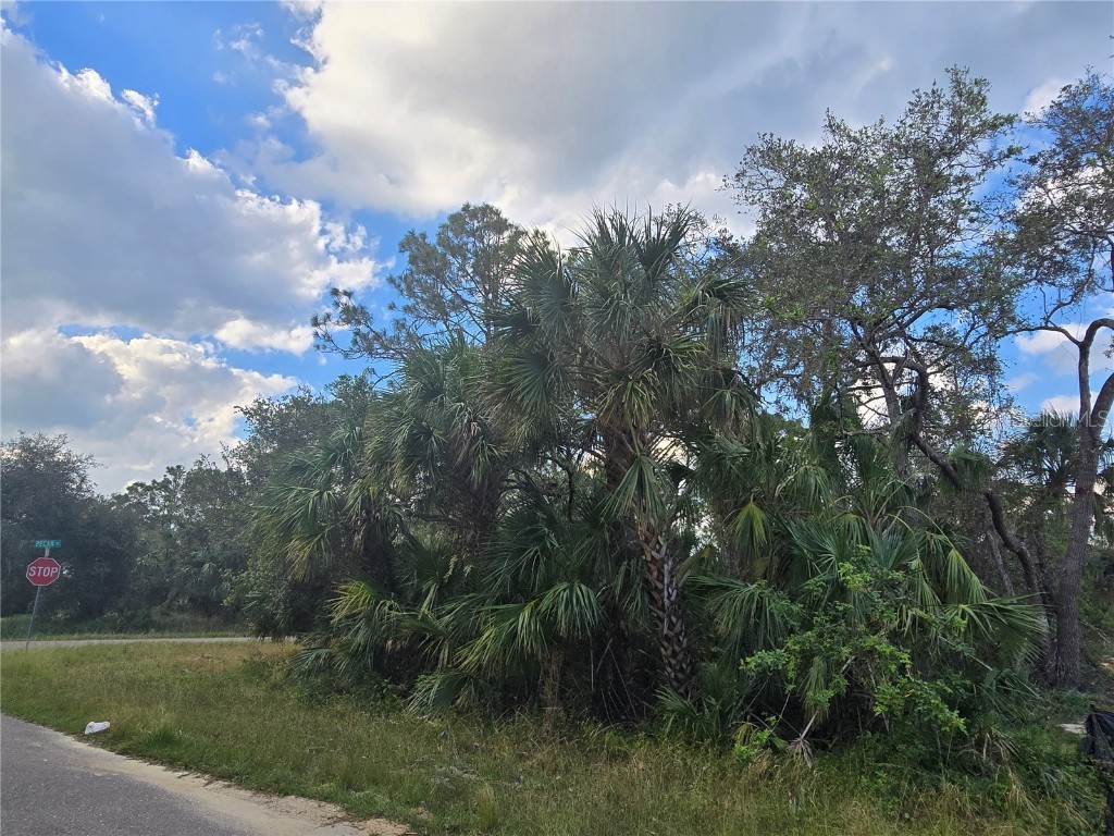 Walmsley Avenue North Port FL 34287 A4629289 image6