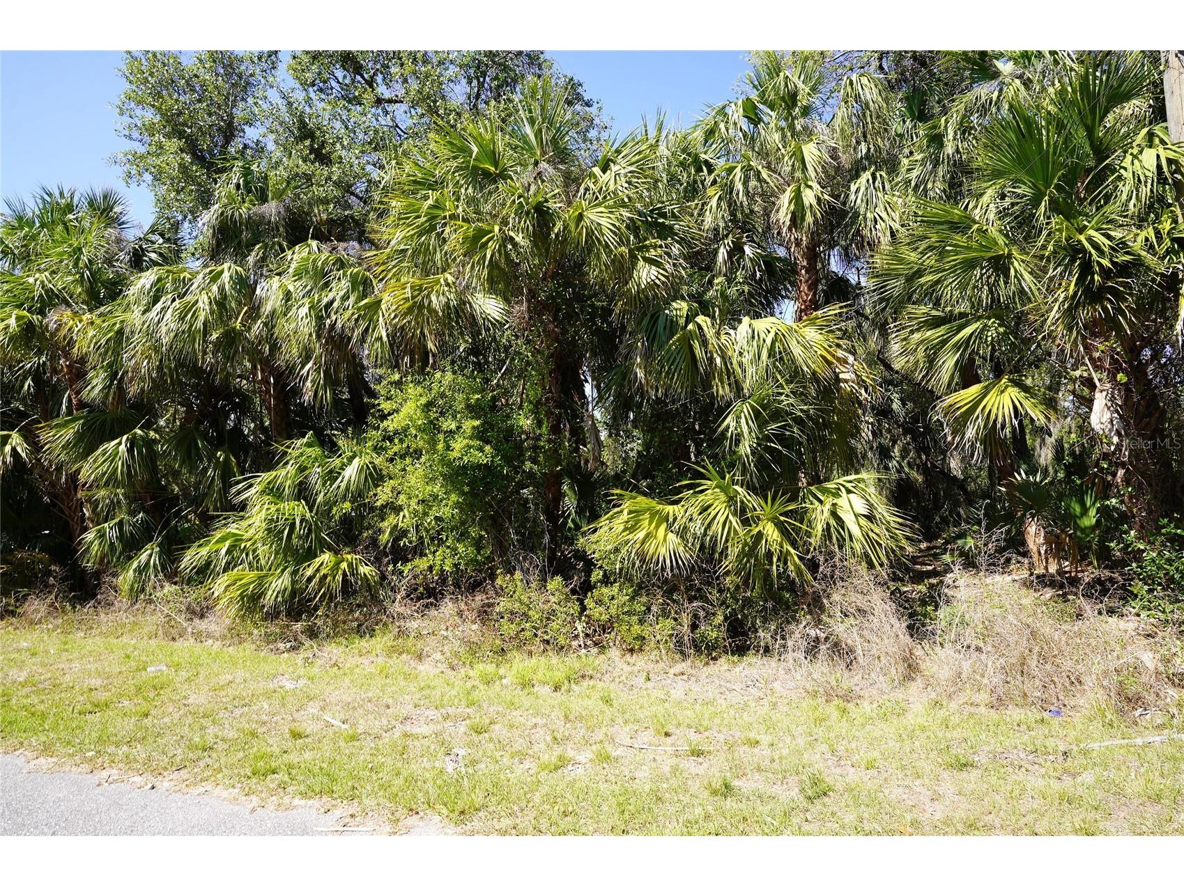 Walmsley Avenue North Port FL 34287 C7507061 image1