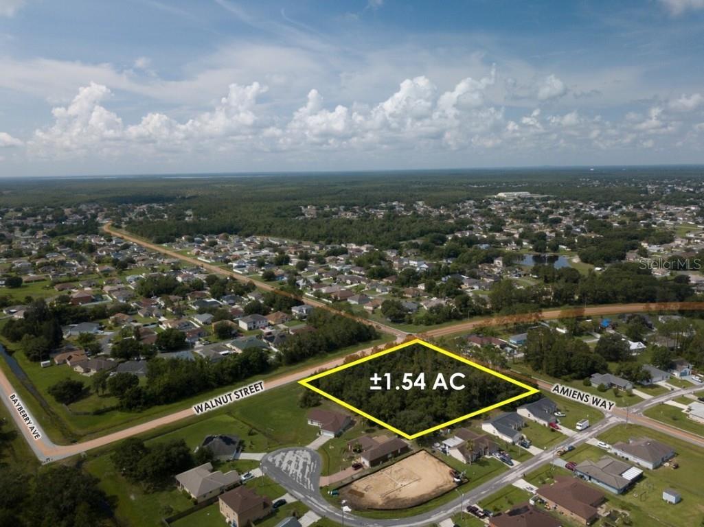 Walnut Street Kissimmee FL 34759 O6130310 image1