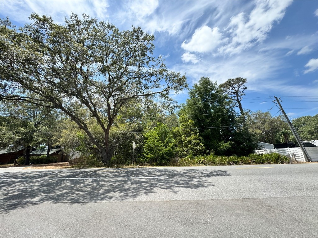 Walt Williams Road Lakeland FL 33809 L4952594 image1