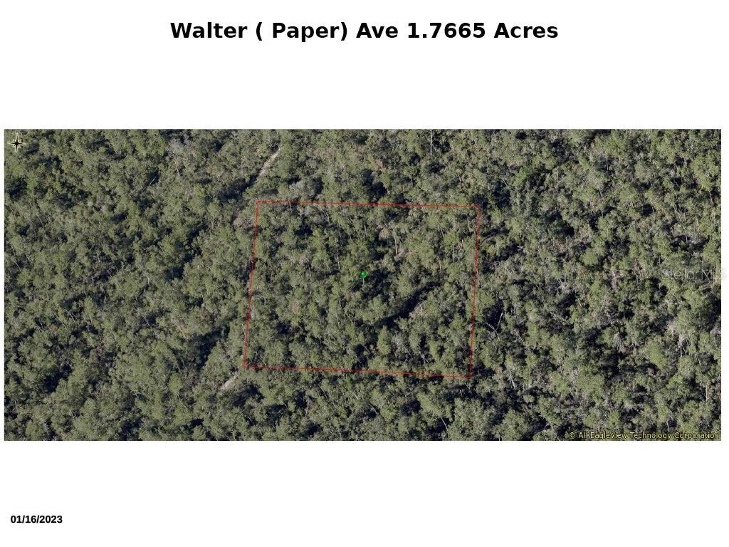 Walter Paper Avenue Lake Helen FL 32744 FC294358 image1