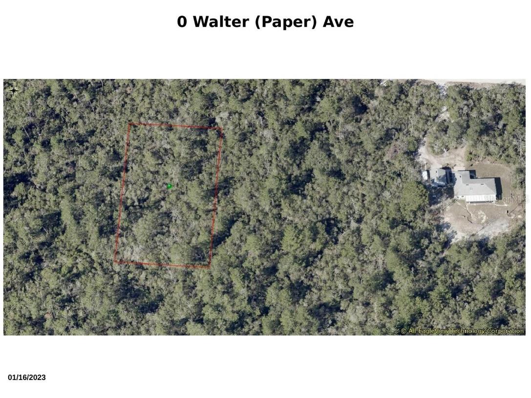 Walter Paper Avenue Lake Helen FL 32744 FC298931 image1