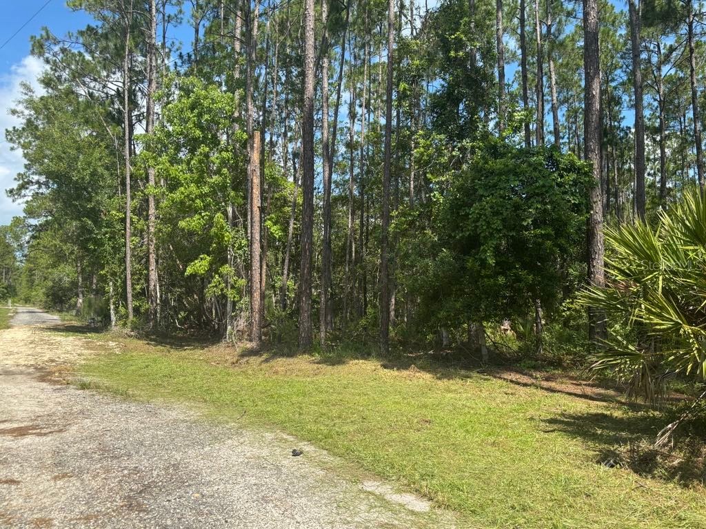 Ward Street Astor FL 32102 O6330091 image1